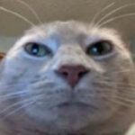 La lettera di Sabrina al ministro Locatelli